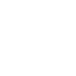 Hotel Icon